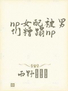 np女配被男主们糟蹋np