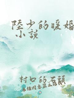 陆少的暖婚新妻 小说