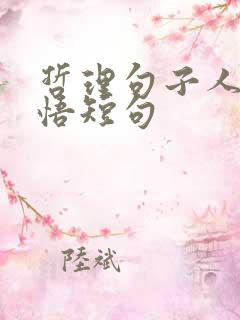 哲理句子人生感悟短句