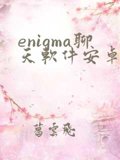 enigma聊天软件安卓