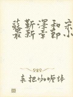 苏靳泽和宋冉的最新章节小说