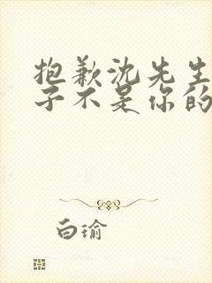 抱歉沈先生,孩子不是你的免费播放