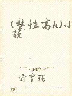 (双性高h)小说