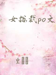 女总裁po文