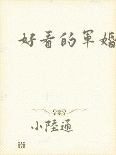 好看的军婚文