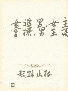 女追男,女主很会撩,男主高冷禁欲的古言