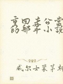 重回老公当校草的那年小说