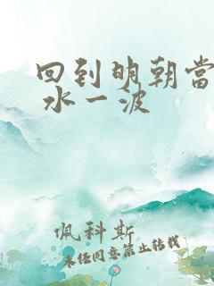 回到明朝当老大 水一波