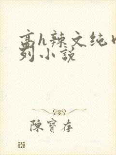 高h辣文纯肉系列小说