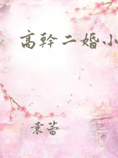 高干二婚小说