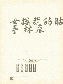 女总裁的贴身高手 林辰