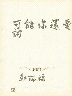 可能你还爱我歌词