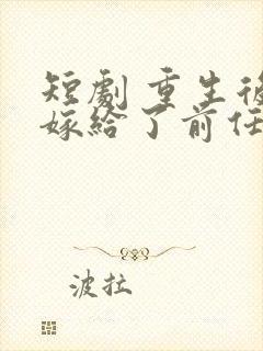 短剧 重生后我嫁给了前任他叔
