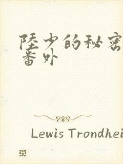 陆少的秘密恋人番外