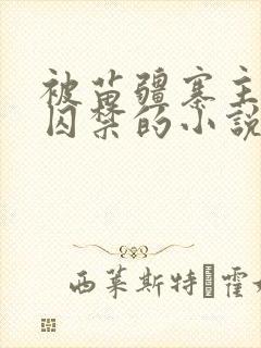 被苗疆寨主抓住囚禁的小说