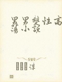 男男双性高h浪荡小说