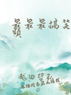最最最搞笑的视频