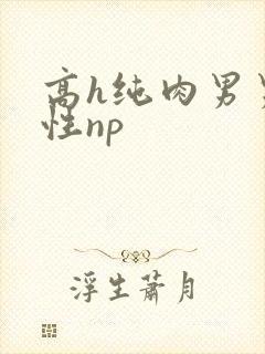 高h纯肉男男双性np