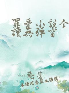罪爱小说全文阅读无弹窗
