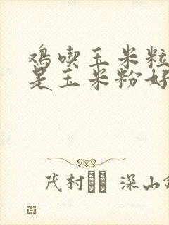 鸡吃玉米粒好还是玉米粉好