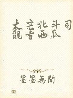 大宋北斗司免费观看西瓜