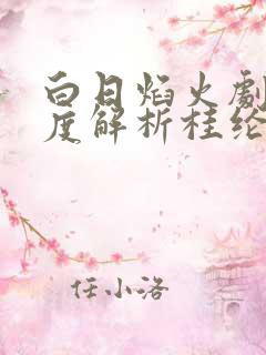 白日焰火剧情深度解析桂纶镁