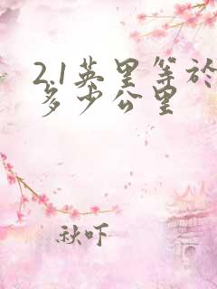 2.1英里等于多少公里