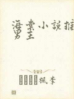 海棠小说推文双男主