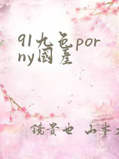 91九色porny国产