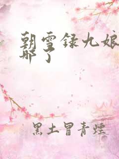 朝雪录九娘子去哪了