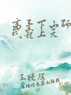 高手下山师姐将我宠上天