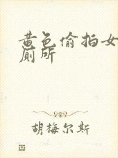 黄色偷拍女人上厕所