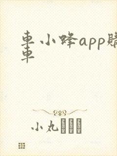 车小蜂app购车