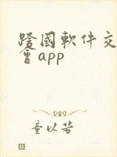跨国软件交友约会app