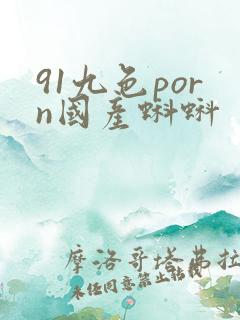 91九色porn国产蝌蚪