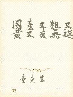 国产又粗又猛又黄又爽无遮挡