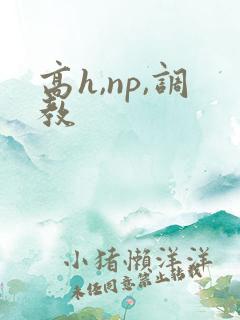 高h,np,调教