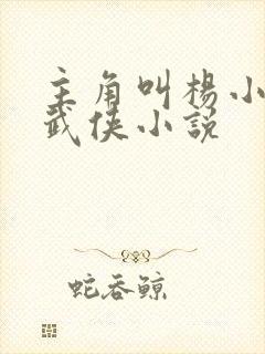 主角叫杨小天的武侠小说
