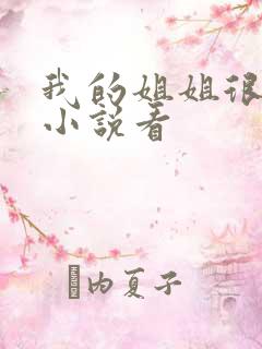 我的姐姐很弟控小说看
