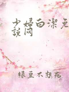 少妇白洁免费小说网