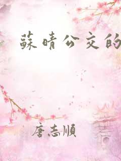 苏晴公交的小说 苏晴公交的小说