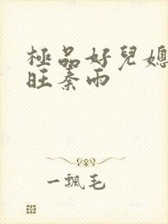 极品好儿媳罗兴旺秦雨
