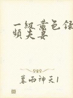 一级黄色录像视频夫妻