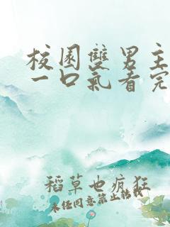 校园双男主小说一口气看完