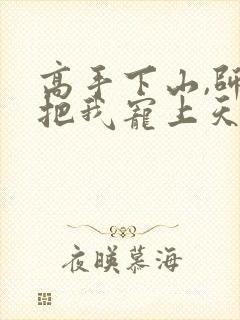 高手下山,师姐把我宠上天胡十三