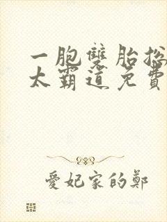 一胞双胎总裁别太霸道免费阅读