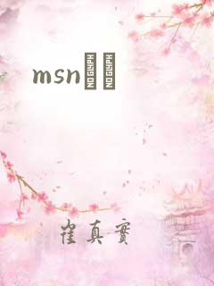 msnС˵