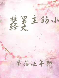 双男主的小说高干文