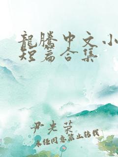 龙腾中文小说网短篇合集
