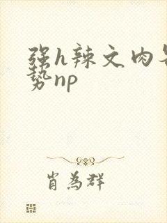 强h辣文肉各种势np